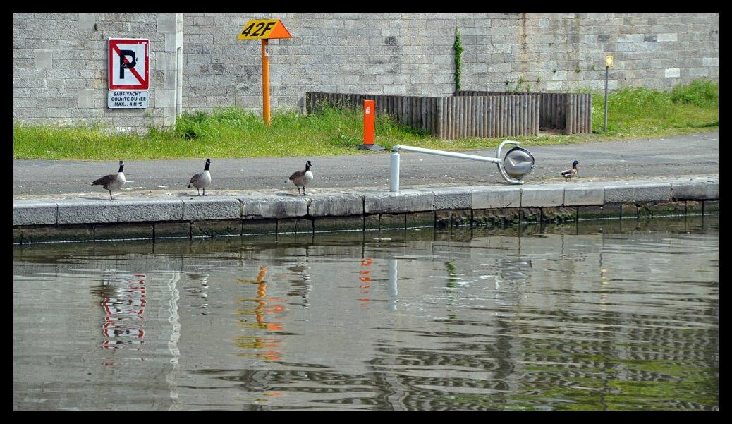 namur1006120006