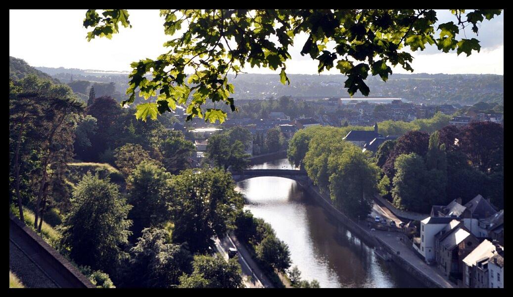 namur1006120249