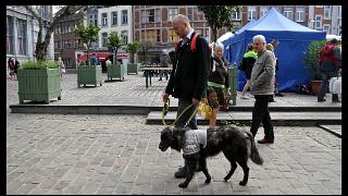 namur1006120314