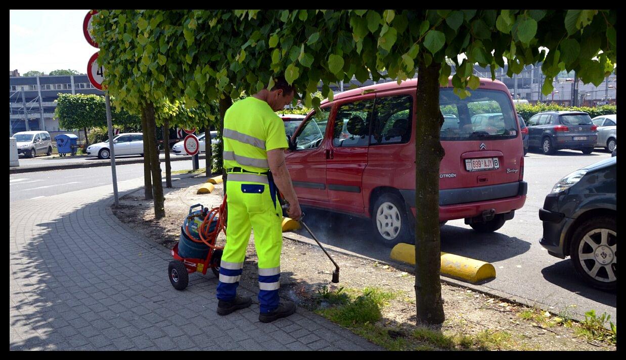 namur0906130021