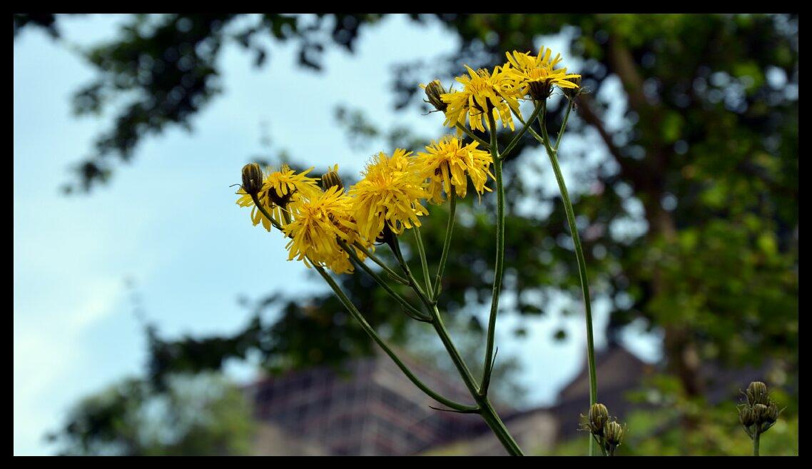 namur230613024