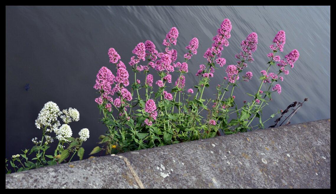 namur230613025