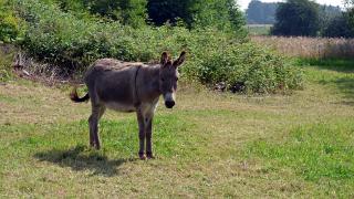 namur2906140122