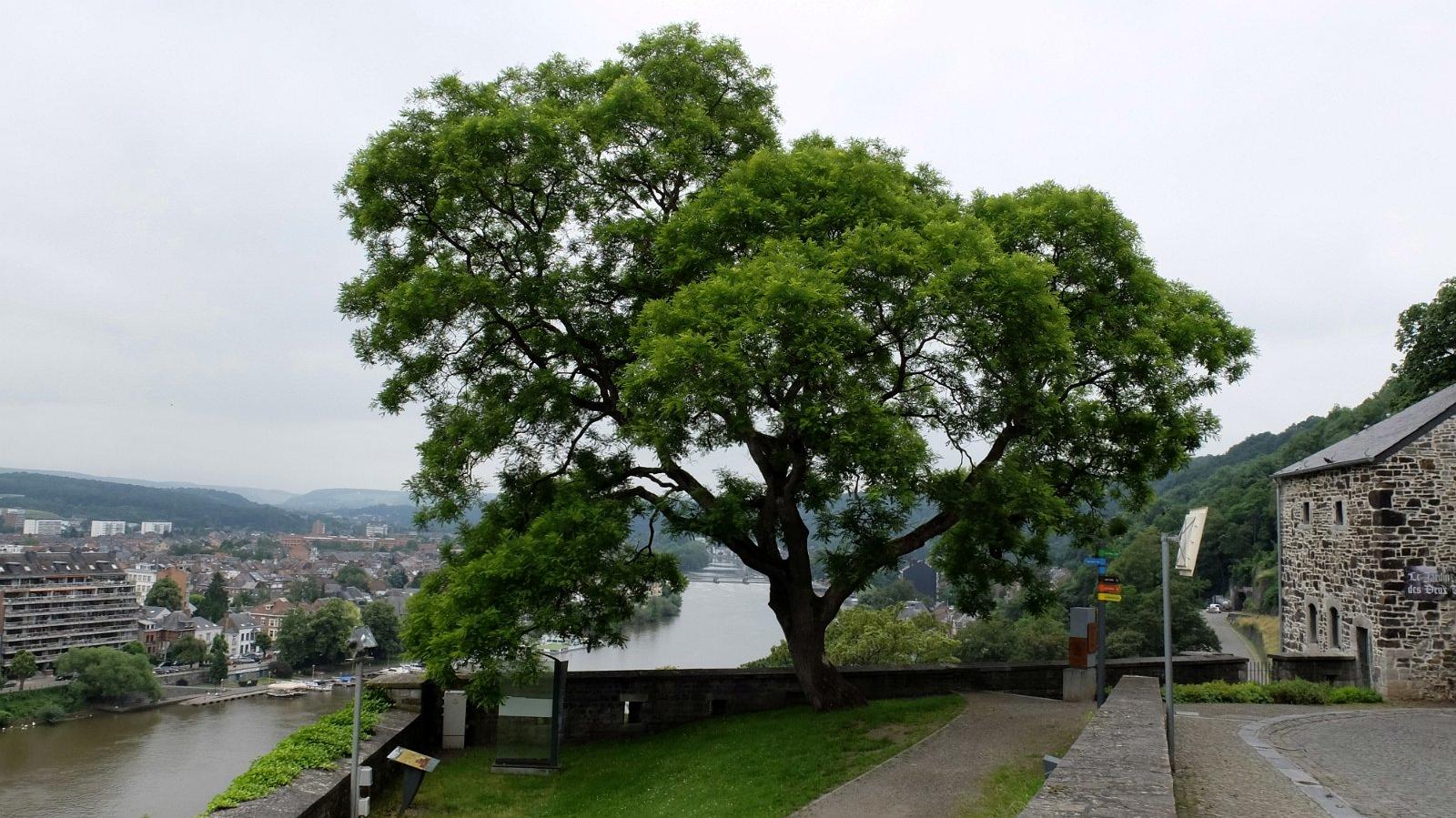 namur260616070