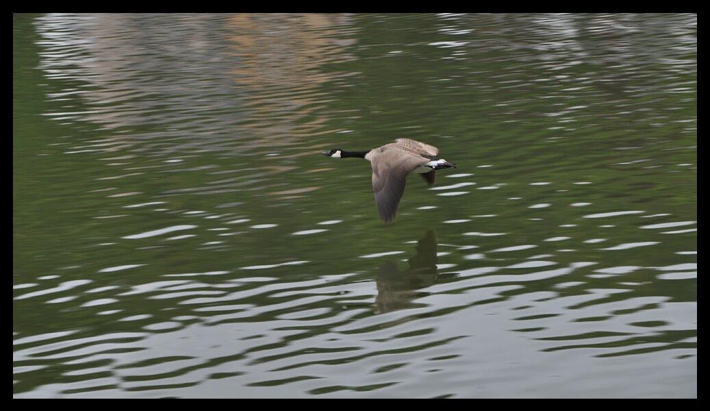 namur2805120043