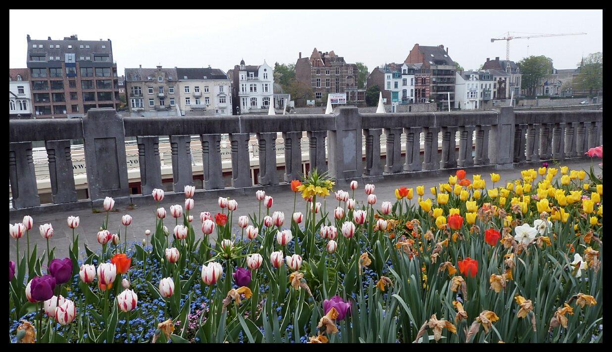 namur0505130298