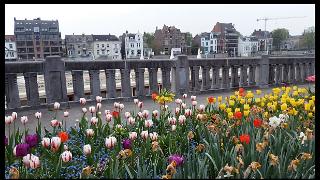 namur0505130298