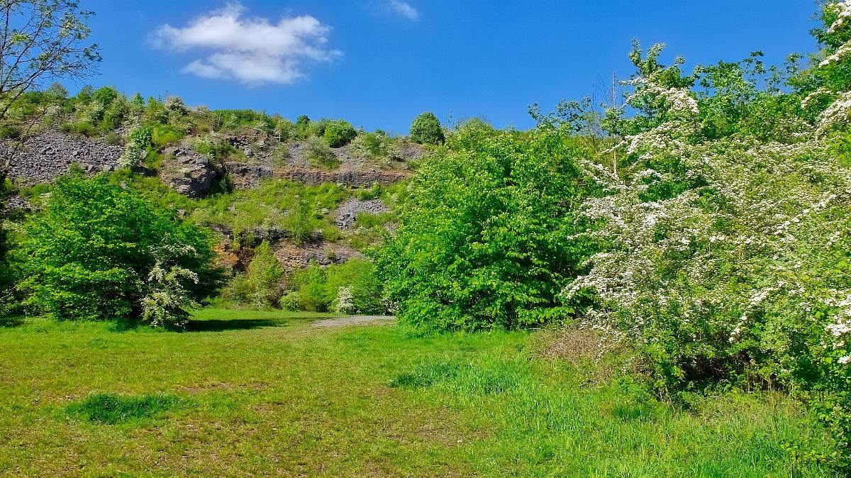 namur0605180204