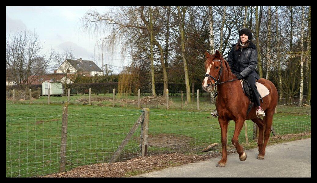 namur1803120055