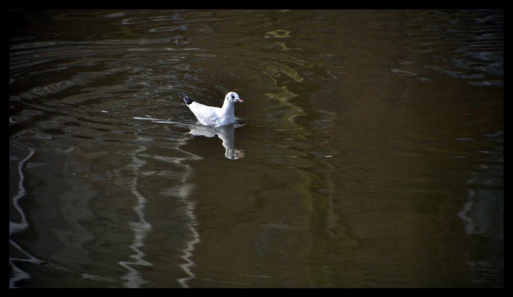 namur1803120100