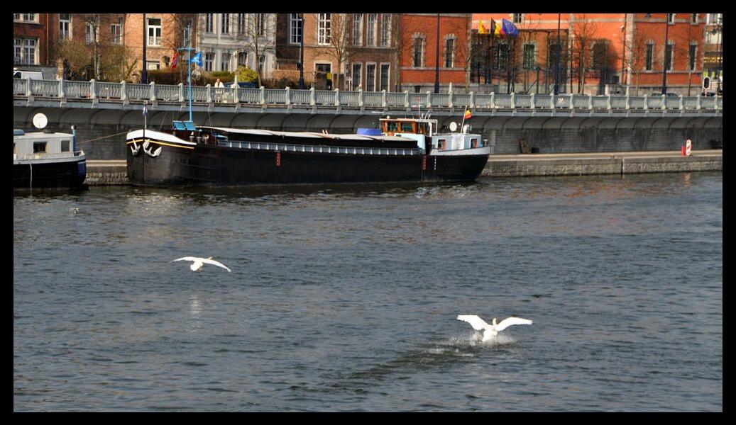 namur2503120099