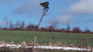 namur2403130198