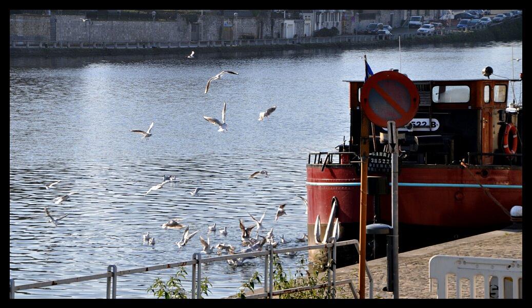 namur2011110006