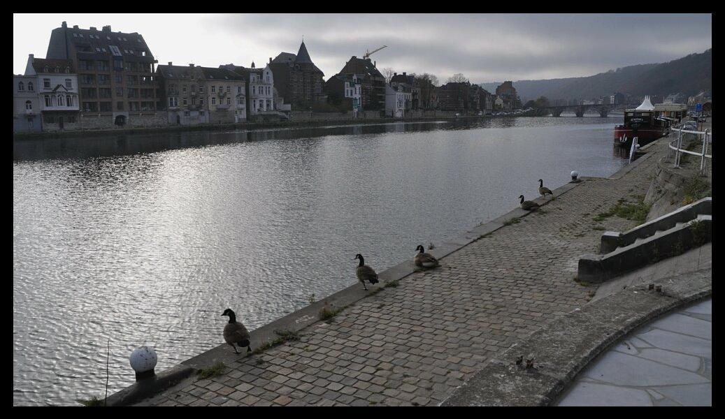 namur2011110062