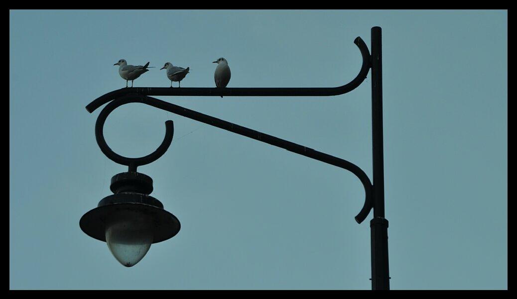 namur2011110069