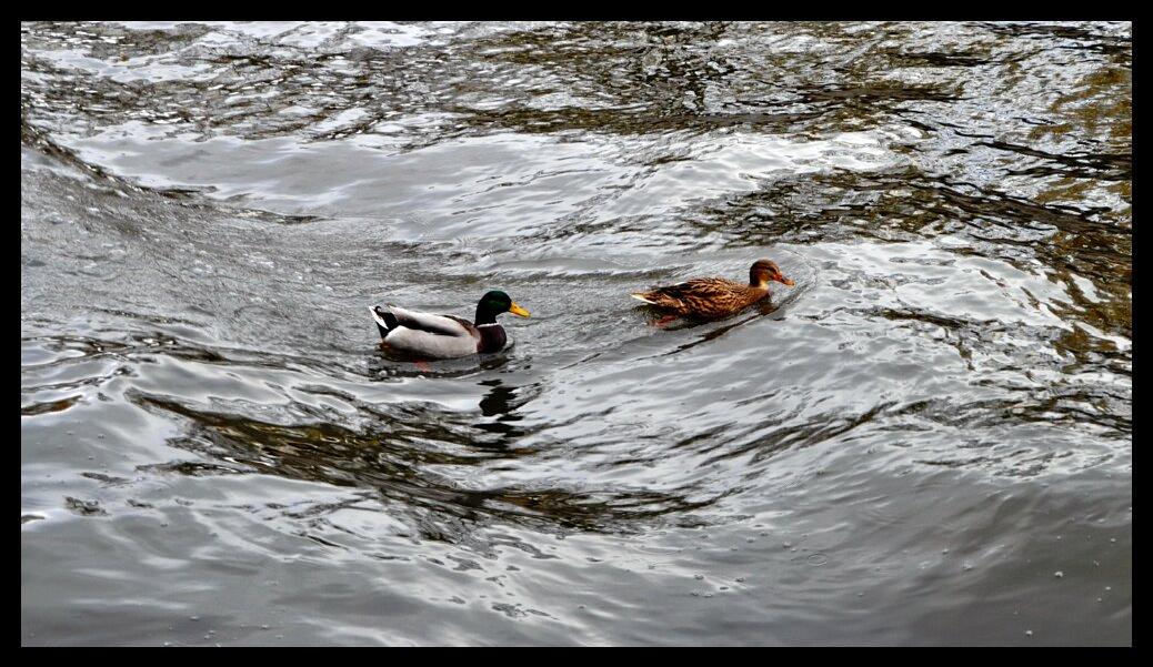 namur1811120041