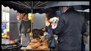 namur0411120186