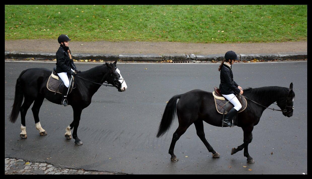 namur0311130013