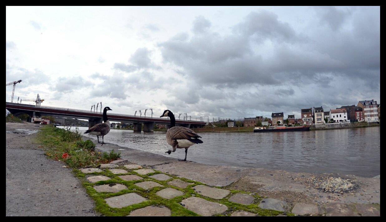 namur1011130070