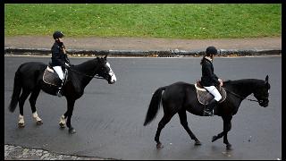 namur0311130013