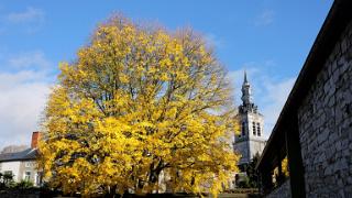 namur201116036