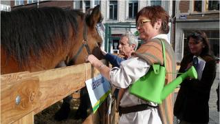 namur121008087