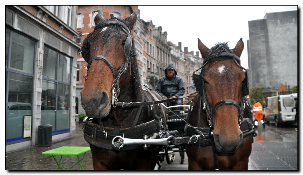 namur0410120185