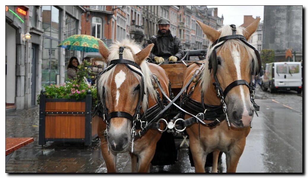 namur0410120186