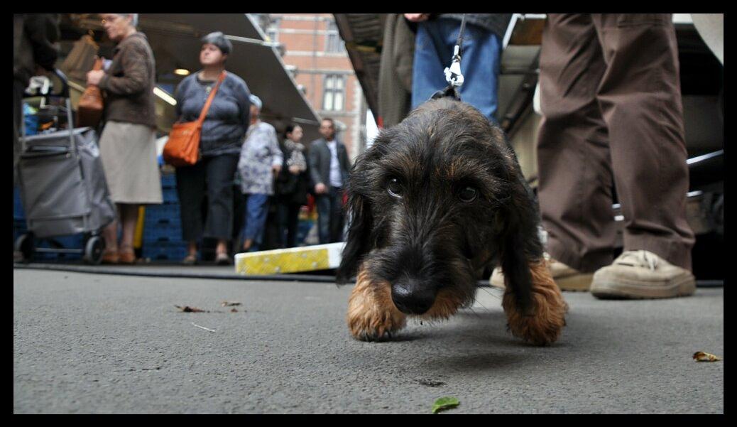 namur2110120086