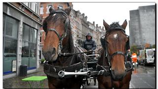 namur0410120185