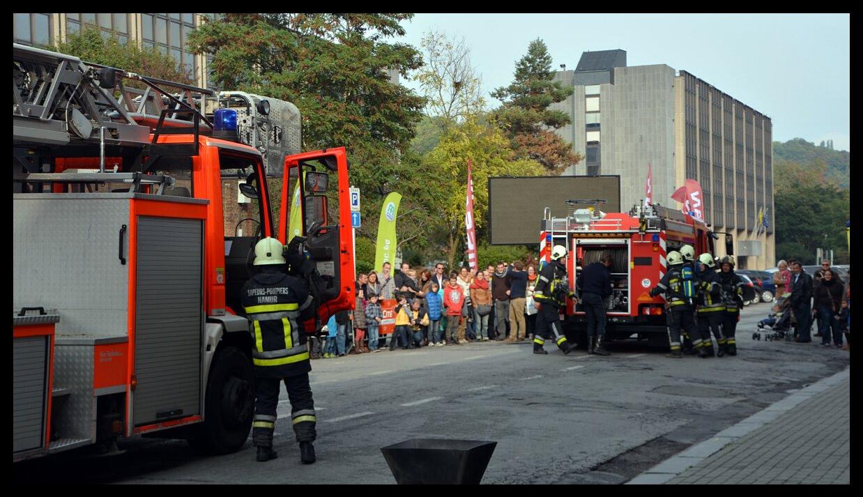 namur1310130094