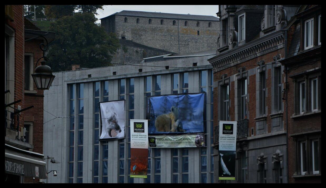 namur2010130003