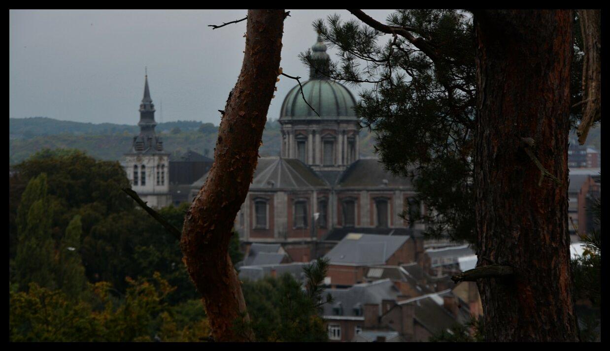 namur2010130005