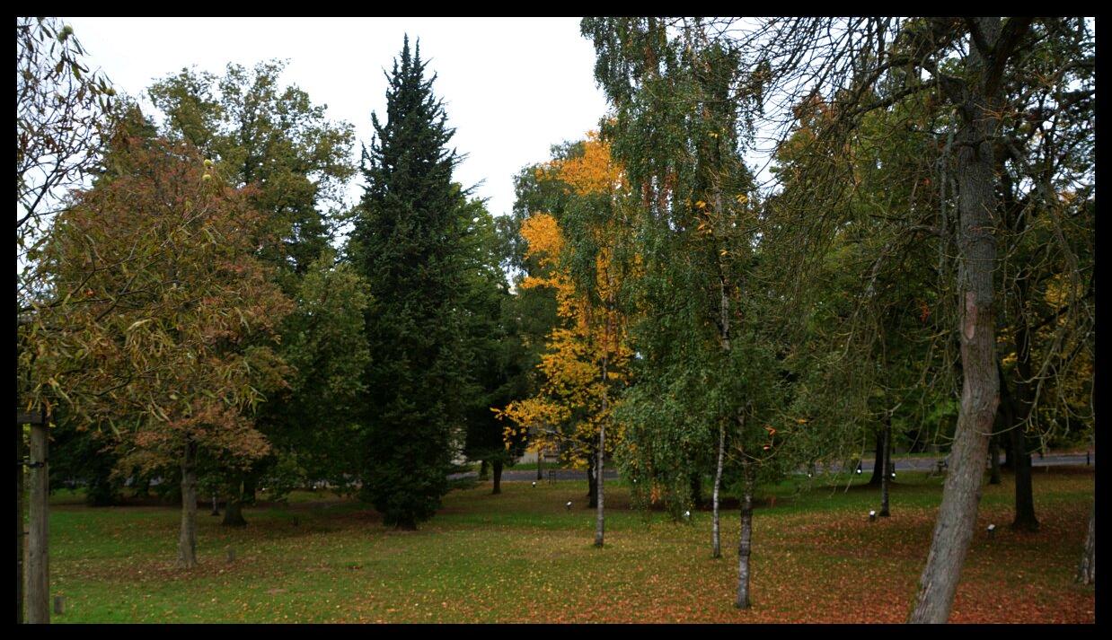 namur2010130010