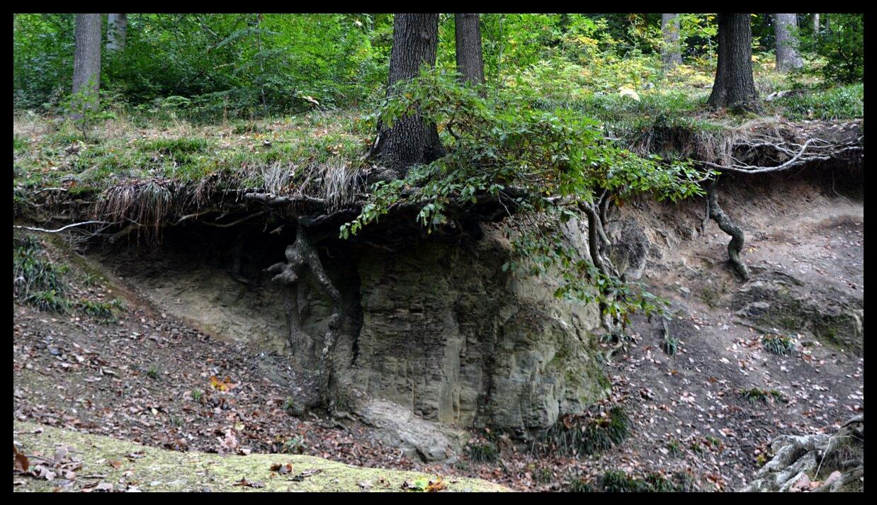 namur2010130018