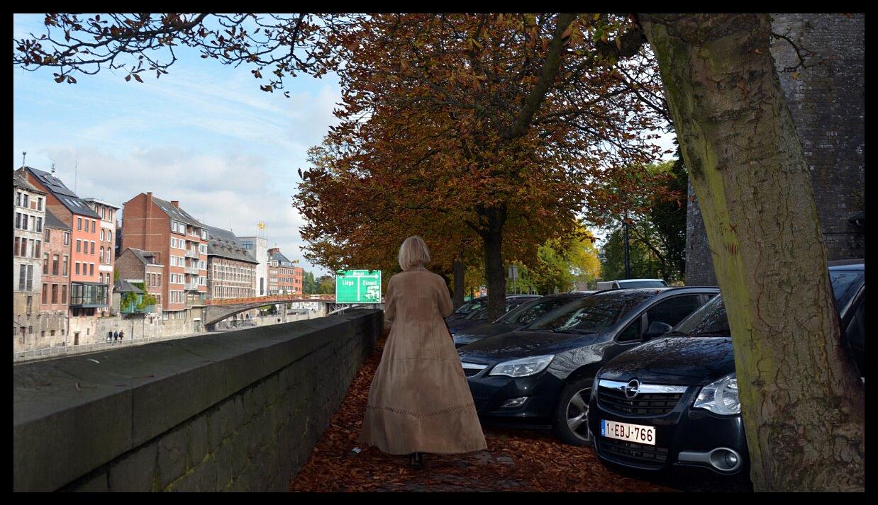 namur2010130106