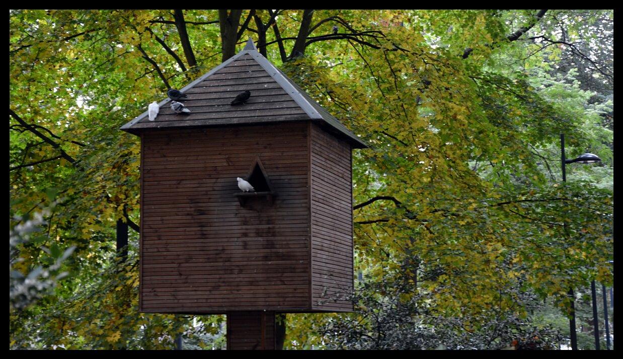 namur2010130120