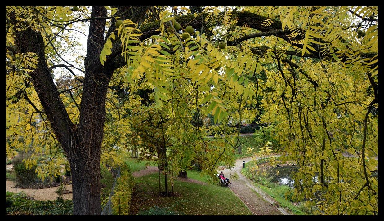 namur2010130194