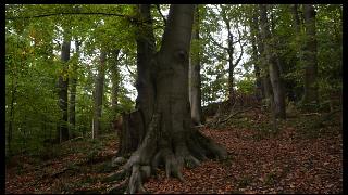 namur2010130015