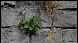 namur2010130036