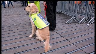 namur2010130125