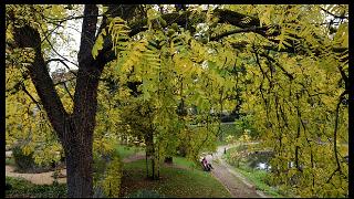 namur2010130194