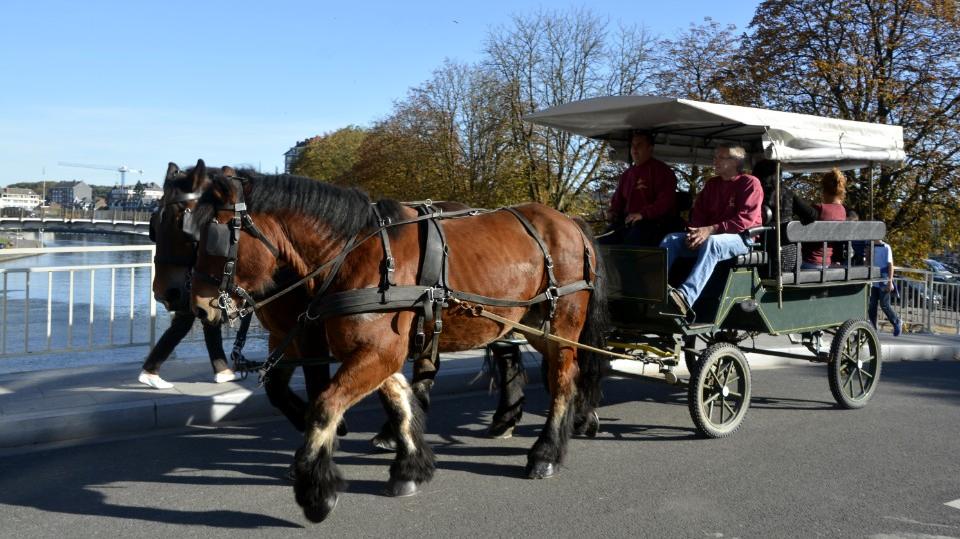 namur1910140299