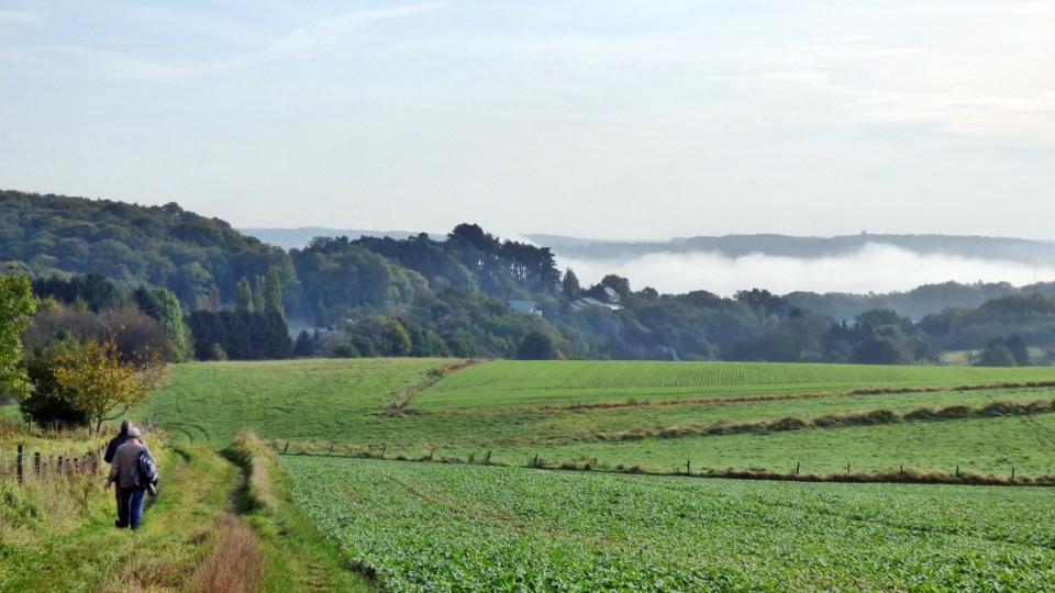 namur1910140340