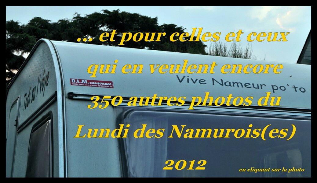 namur2309120266