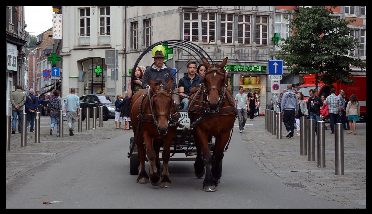 namur0809130134