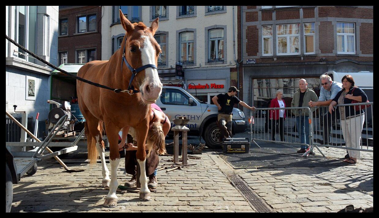 namur1509130005