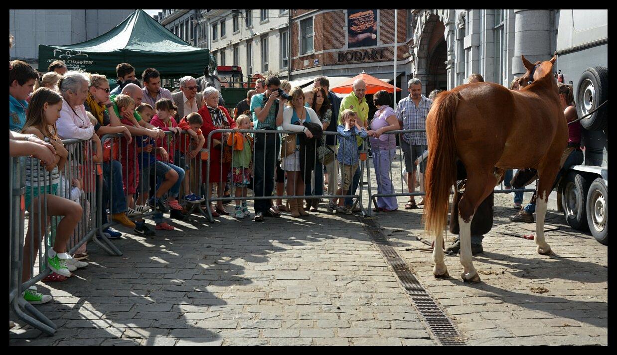 namur1509130046