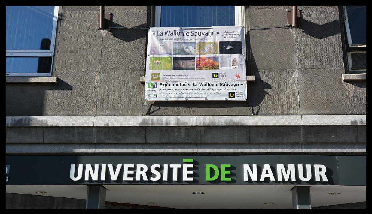 namur2909130006