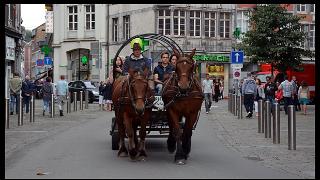 namur0809130134